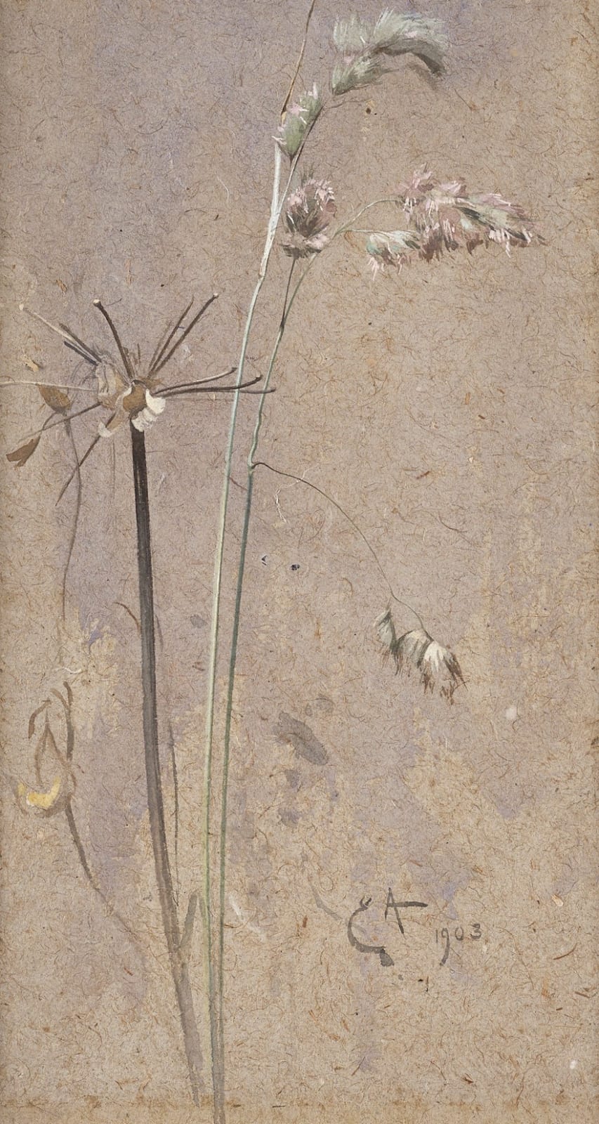 Edwin Alexander RSA RSW, Cocksfoot Grass, 1903