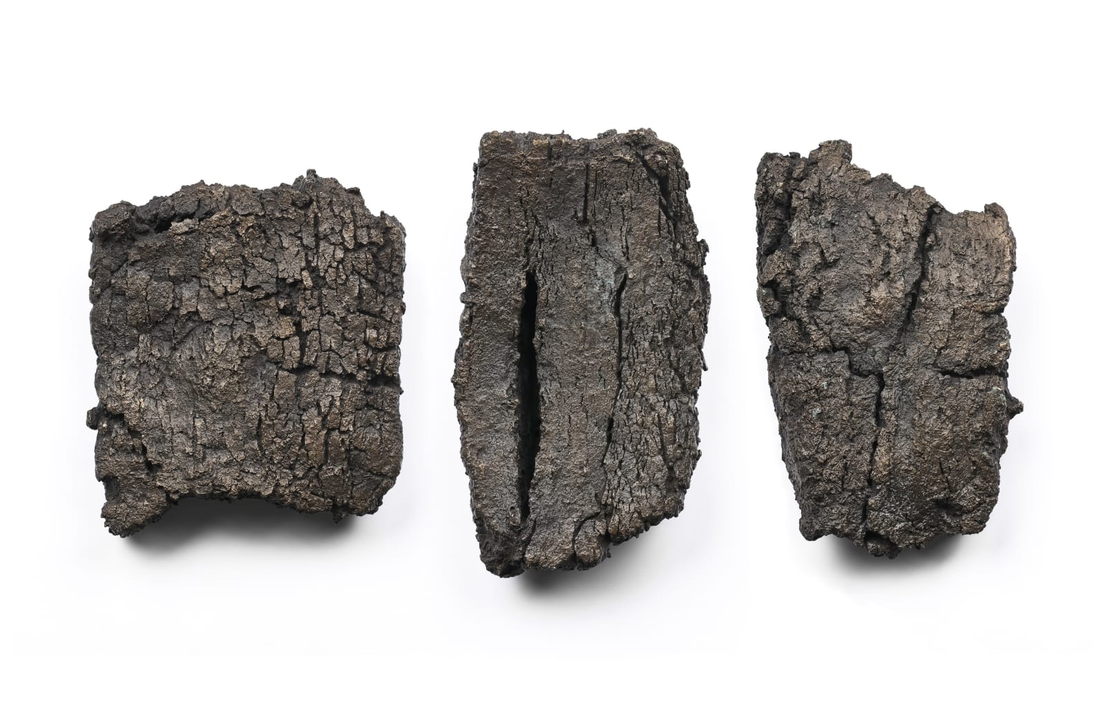 Shaun Fraser, Soil Immemorial, 2017