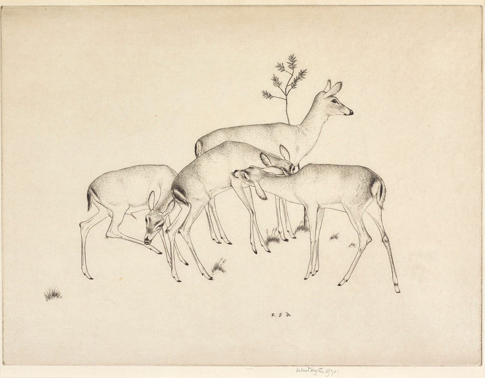 Robert Sargent Austin RA, Deer, 1930