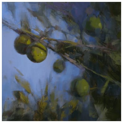 Bran Sivas, Lime Tree, 2024