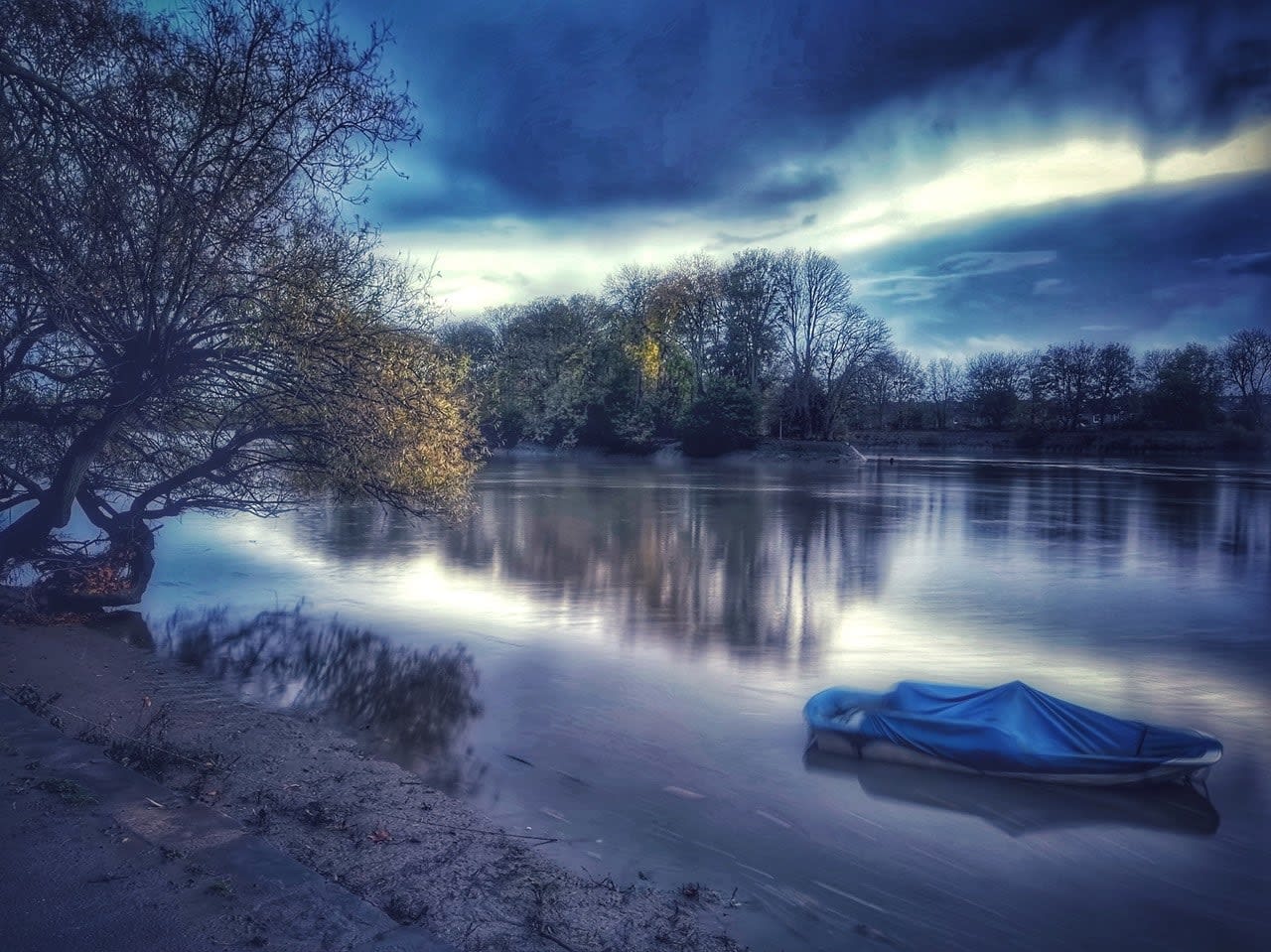 Ljubima Woods, Ljubima Woods, 2025