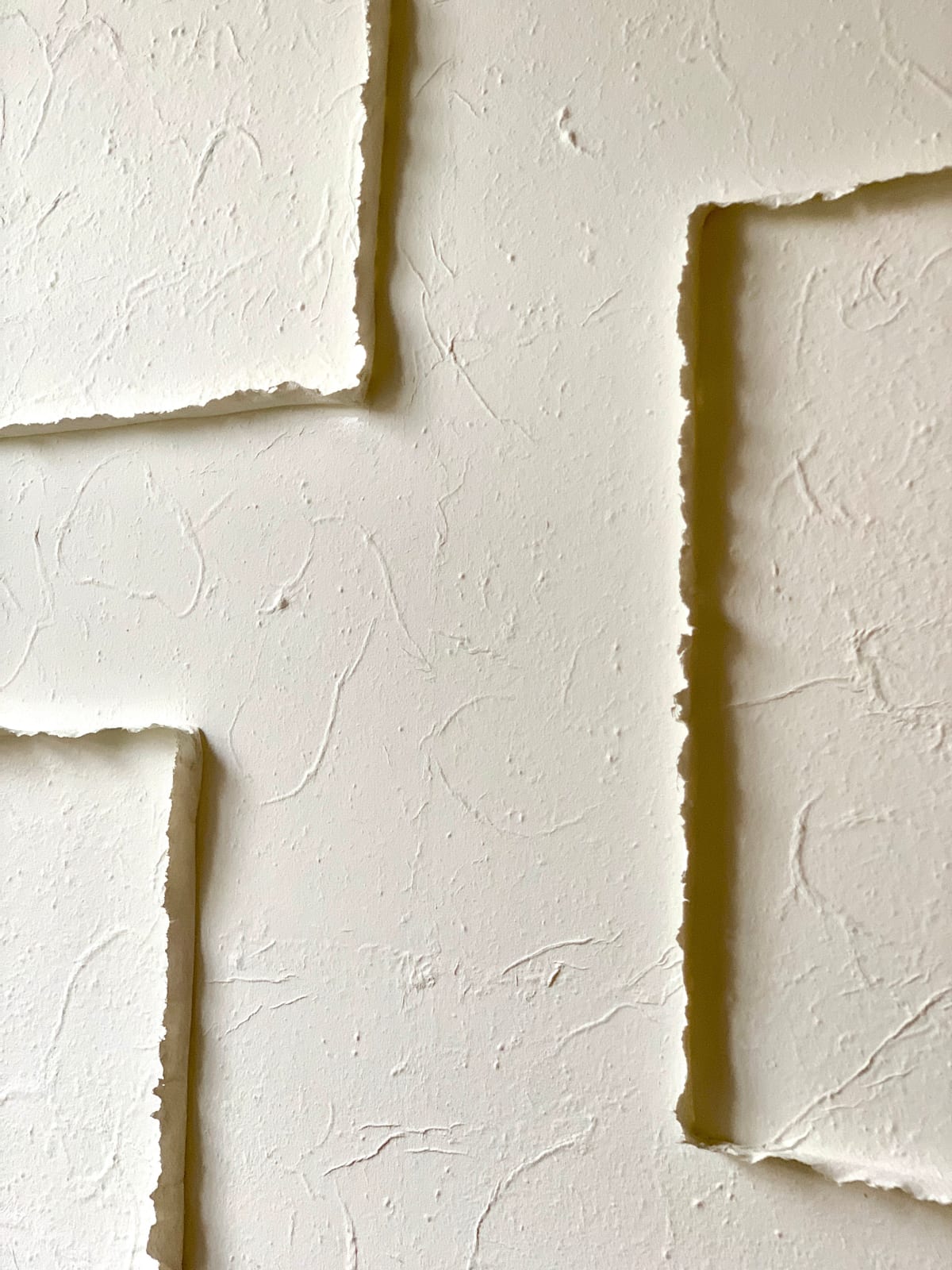 Sophie De Zutter, Complémentarité, 2026