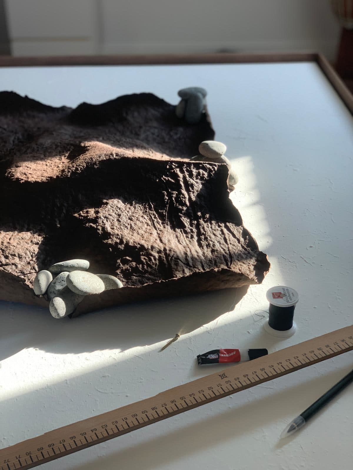 Sophie De Zutter, Terre vivante, 2025