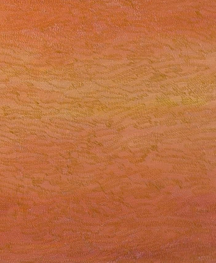 Carmen Baena, Viento del sol rasante II - Viento delsol rasante III, 2025