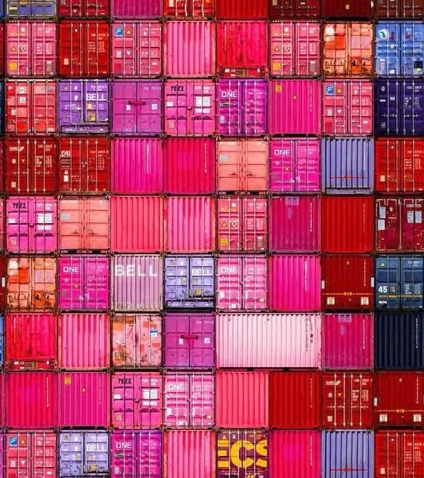 Didier Engels, Azalea Flow, 2025