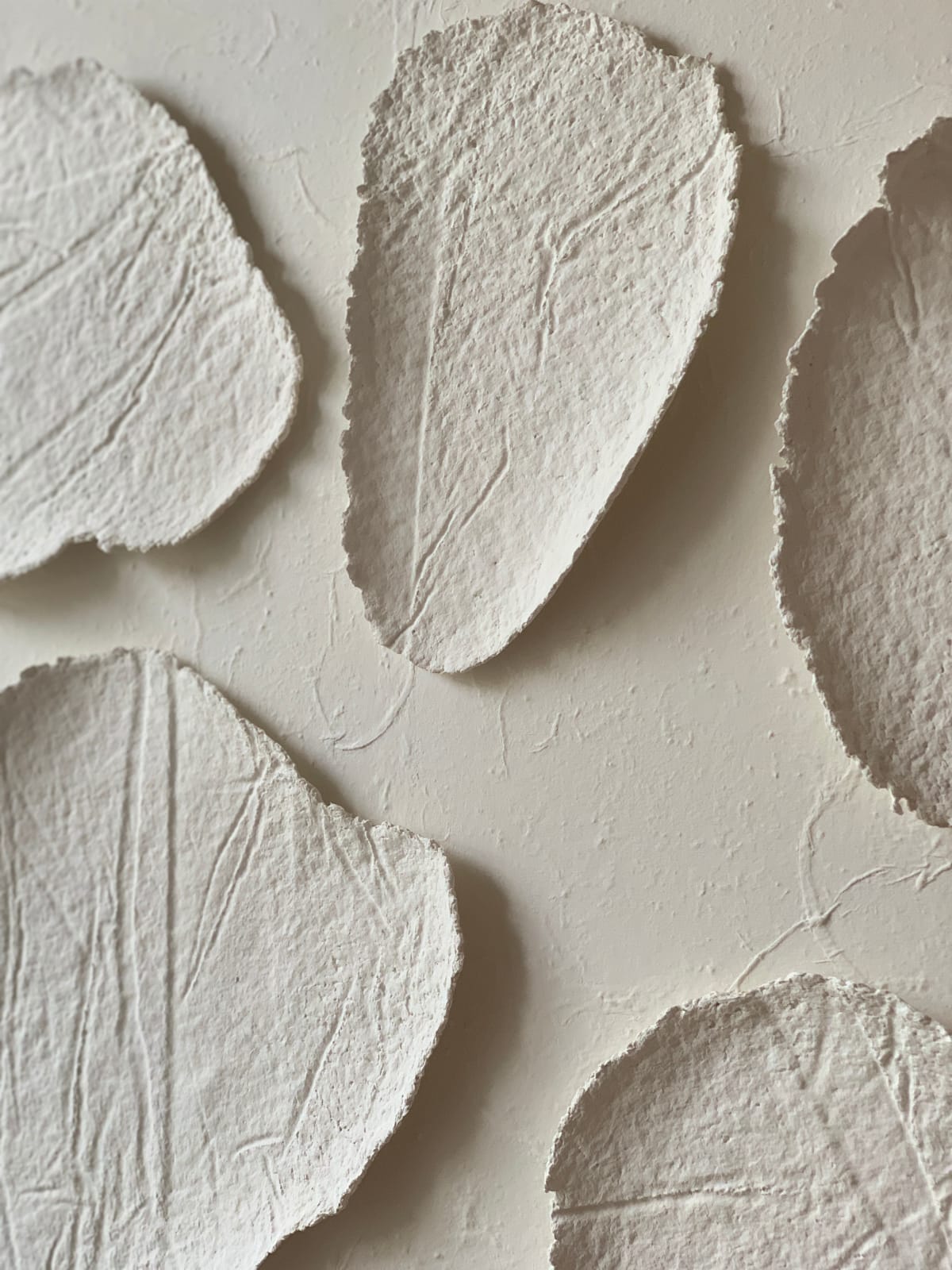 Sophie De Zutter, Moléculaire, 2026