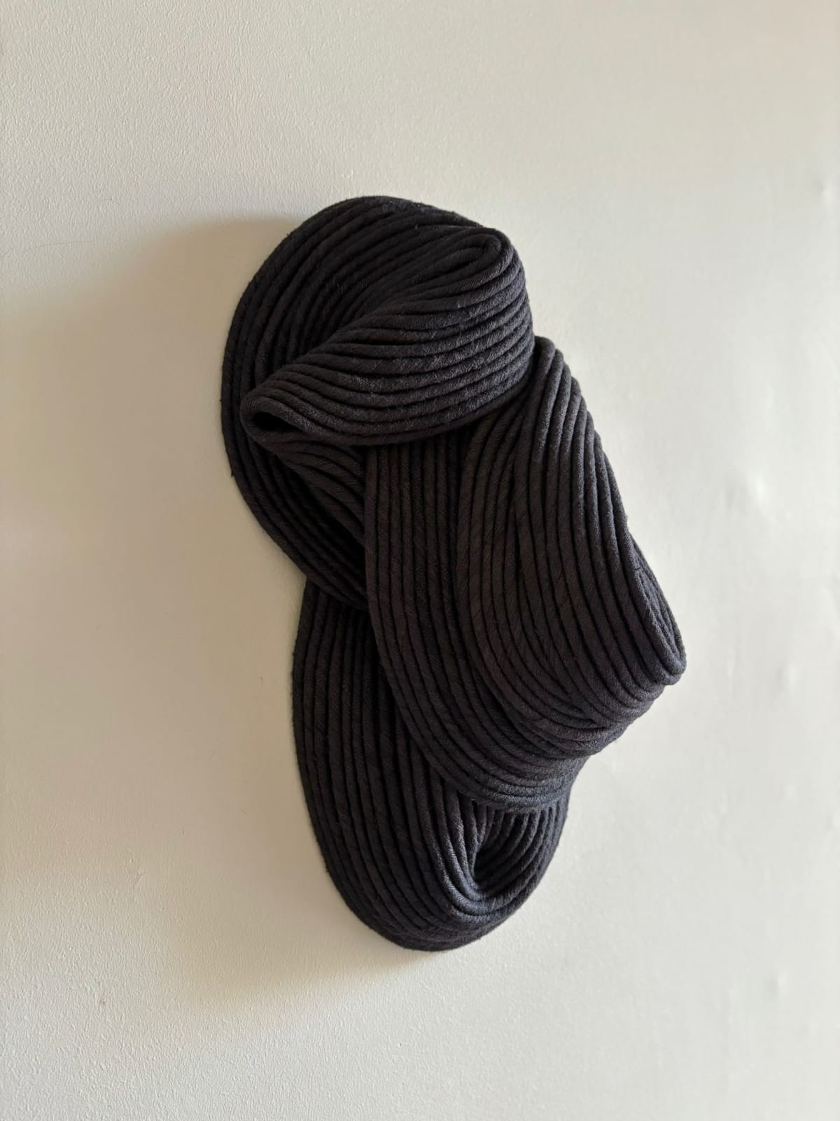 Sini Villi, Char II, 2025