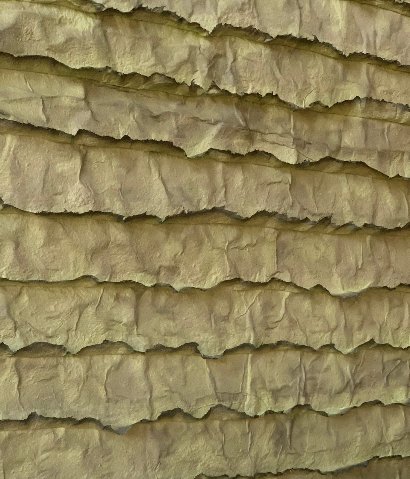 Sophie De Zutter, Echo des forêts, 2026