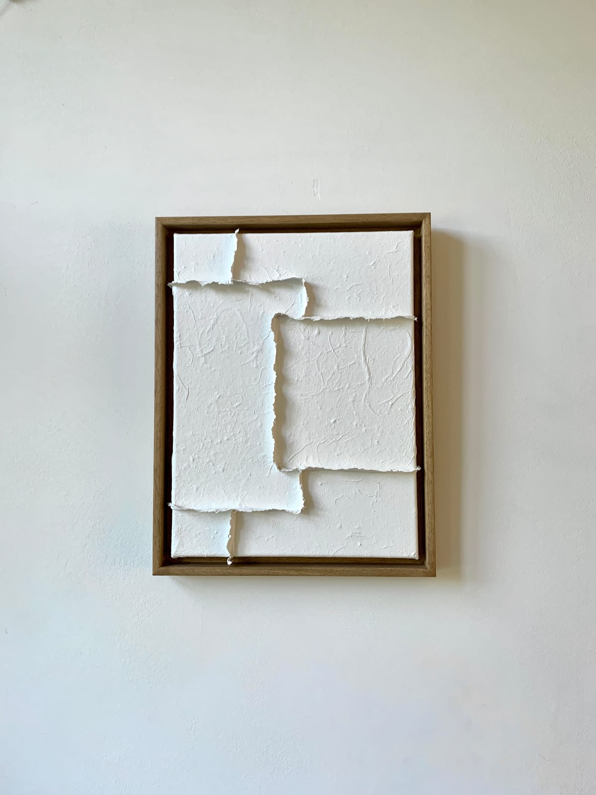 Sophie De Zutter, Clarity, 2025