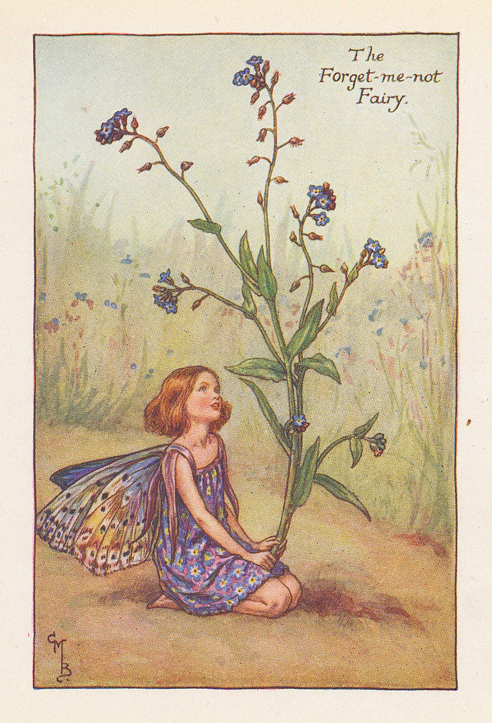 Cicely Mary Barker, Fairies - Forget-me-not Fairy, 1925