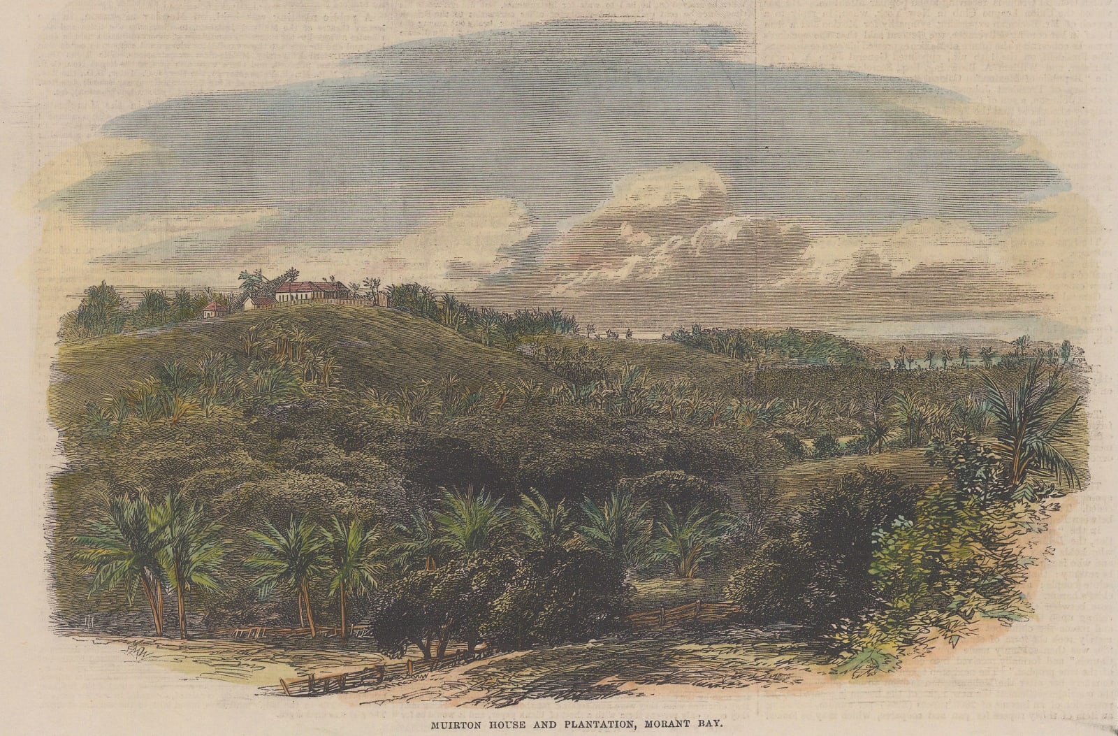 Illustrated London News (ILN), Jamaica - Morant Bay, Muirton Plantation, 1865