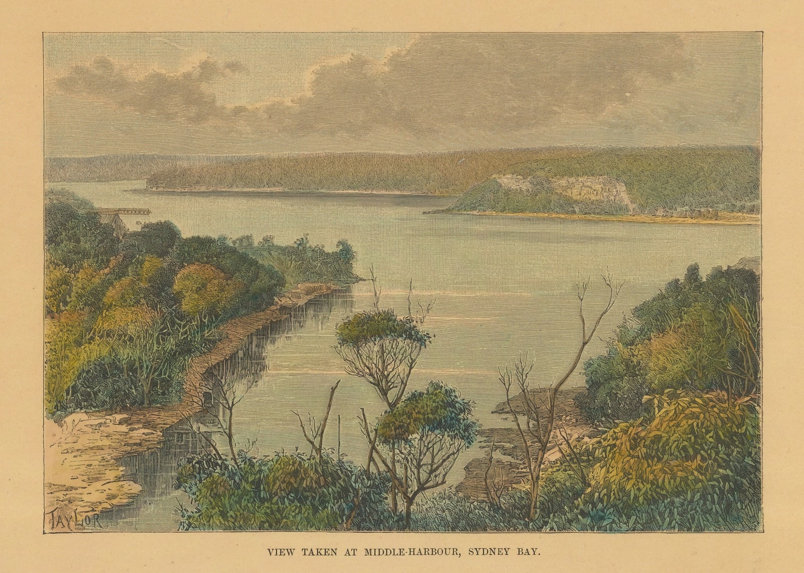 Jean Jacques Élisée Reclus, Australia - Sydney Bay, 1894