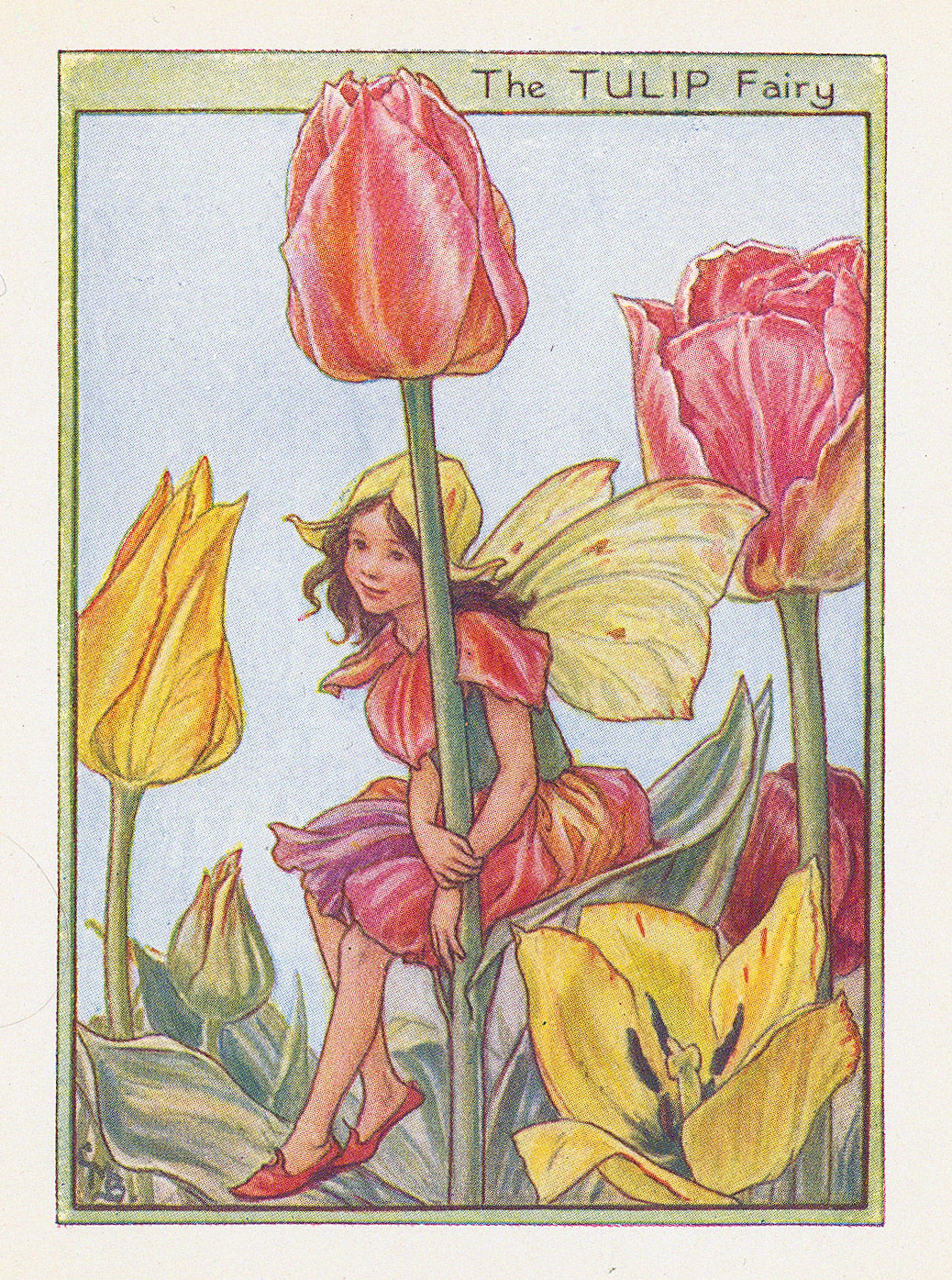 Cicely Mary Barker, Fairies - Tulip Fairy, 1944
