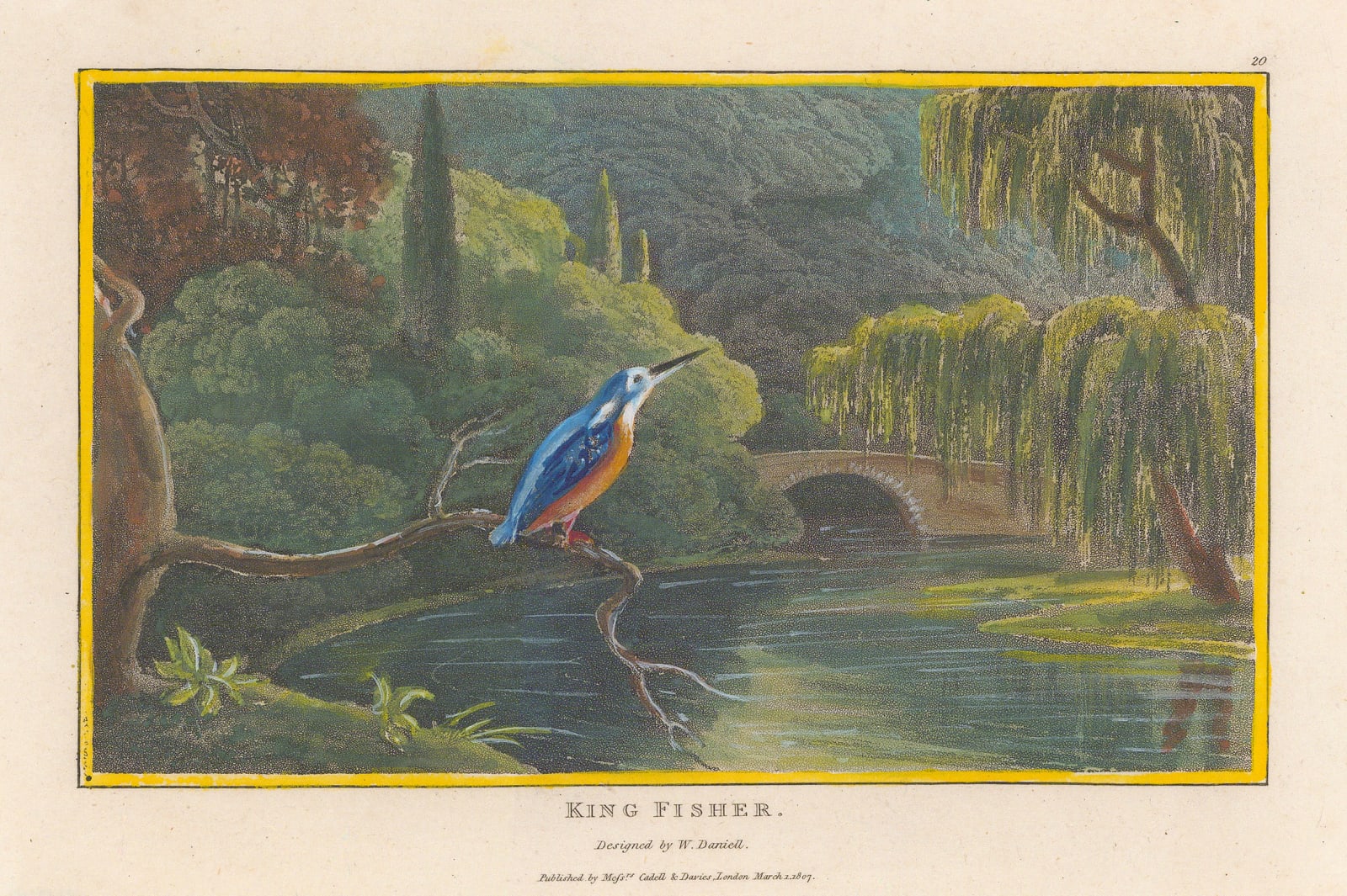 William Daniell, King Fisher, 1807