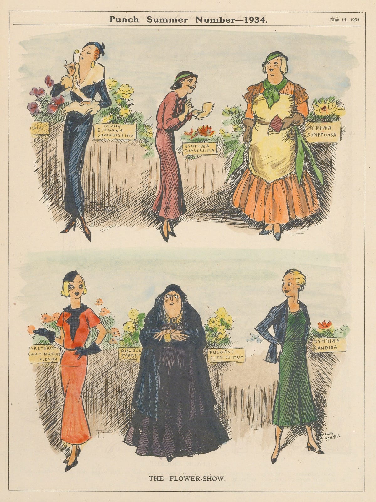 Punch, Cartoon - The Flower Show, 1934