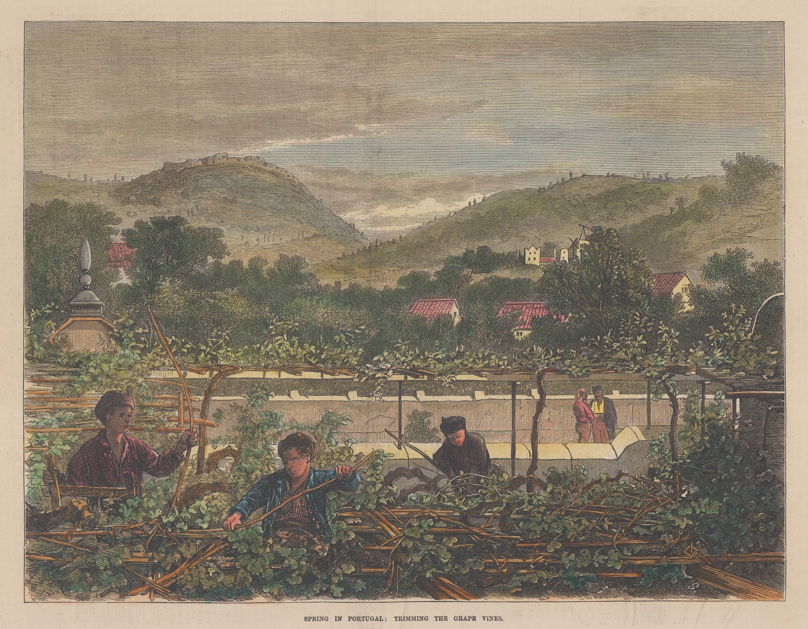 Illustrated London News (ILN), Portugal - Wine, 1873