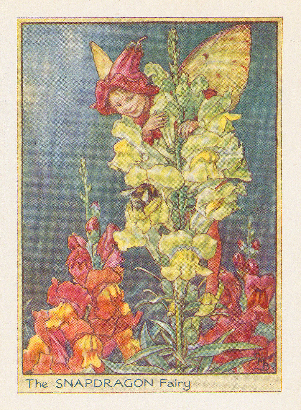 Cicely Mary Barker, Fairies - Snapdragon Fairy, 1944