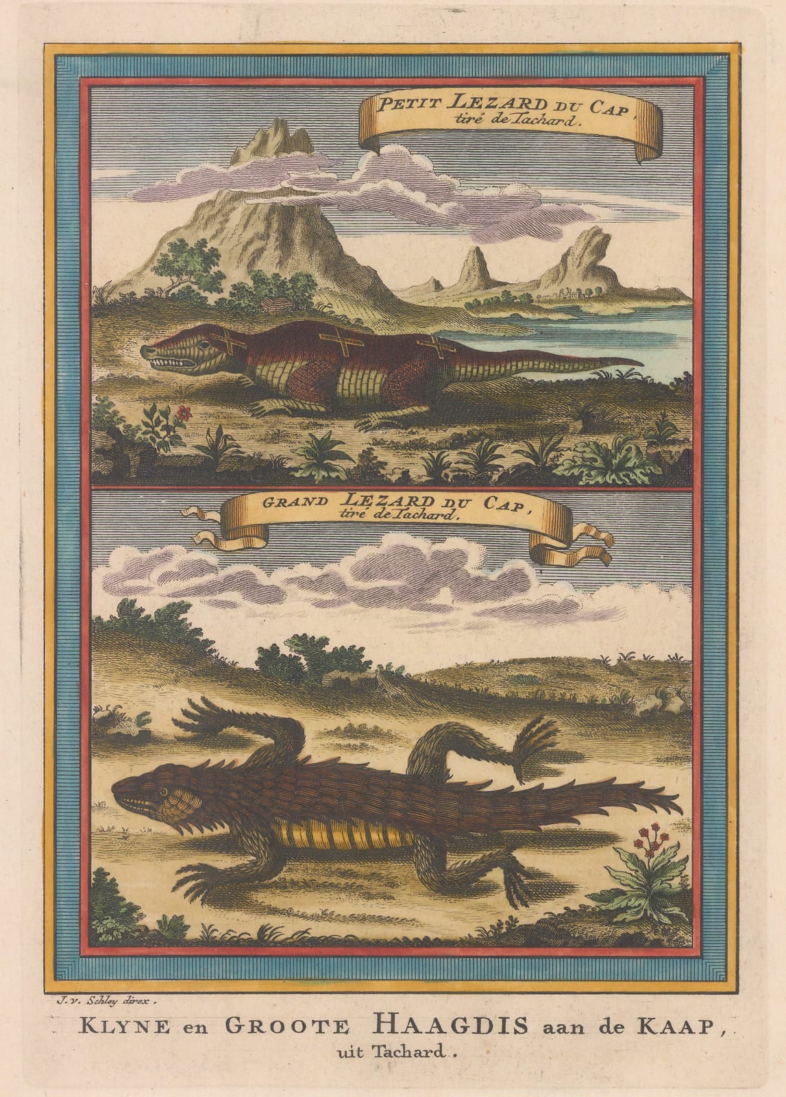 Jacob van der Schley, South Africa - Cape of Good Hope, 1748