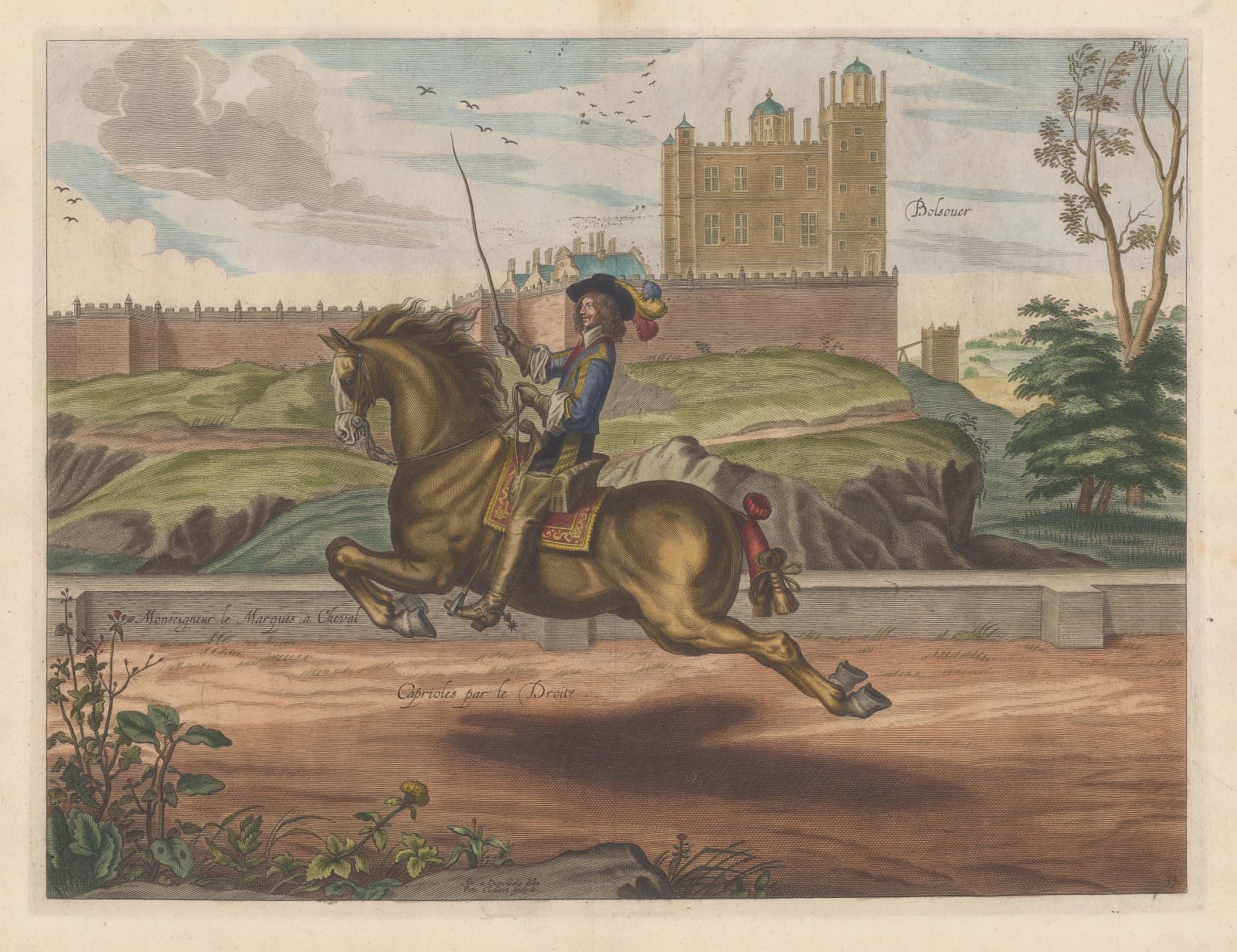 William Cavendish (Duke of Newcastle), Horses - Dressage, 1743