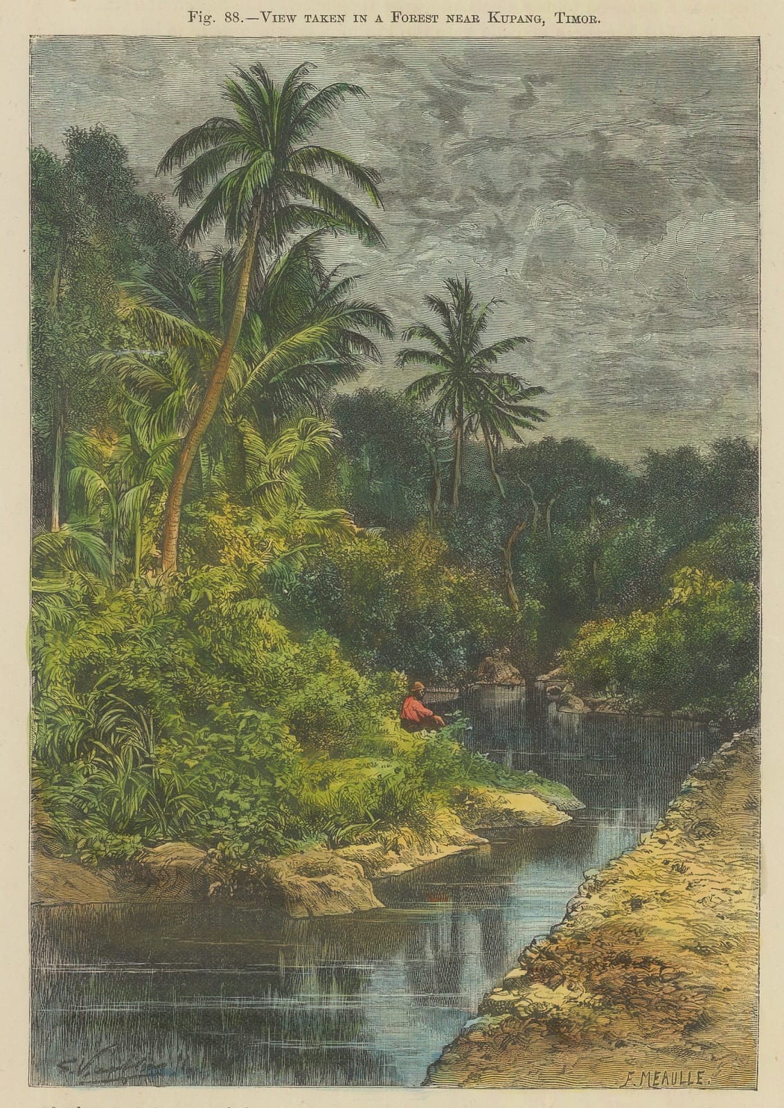 Geoffry Garnier, Indonesia - Timor, 1876