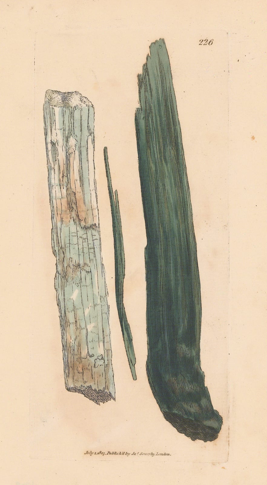 James Sowerby, Geology - Common Asbestos, 1809