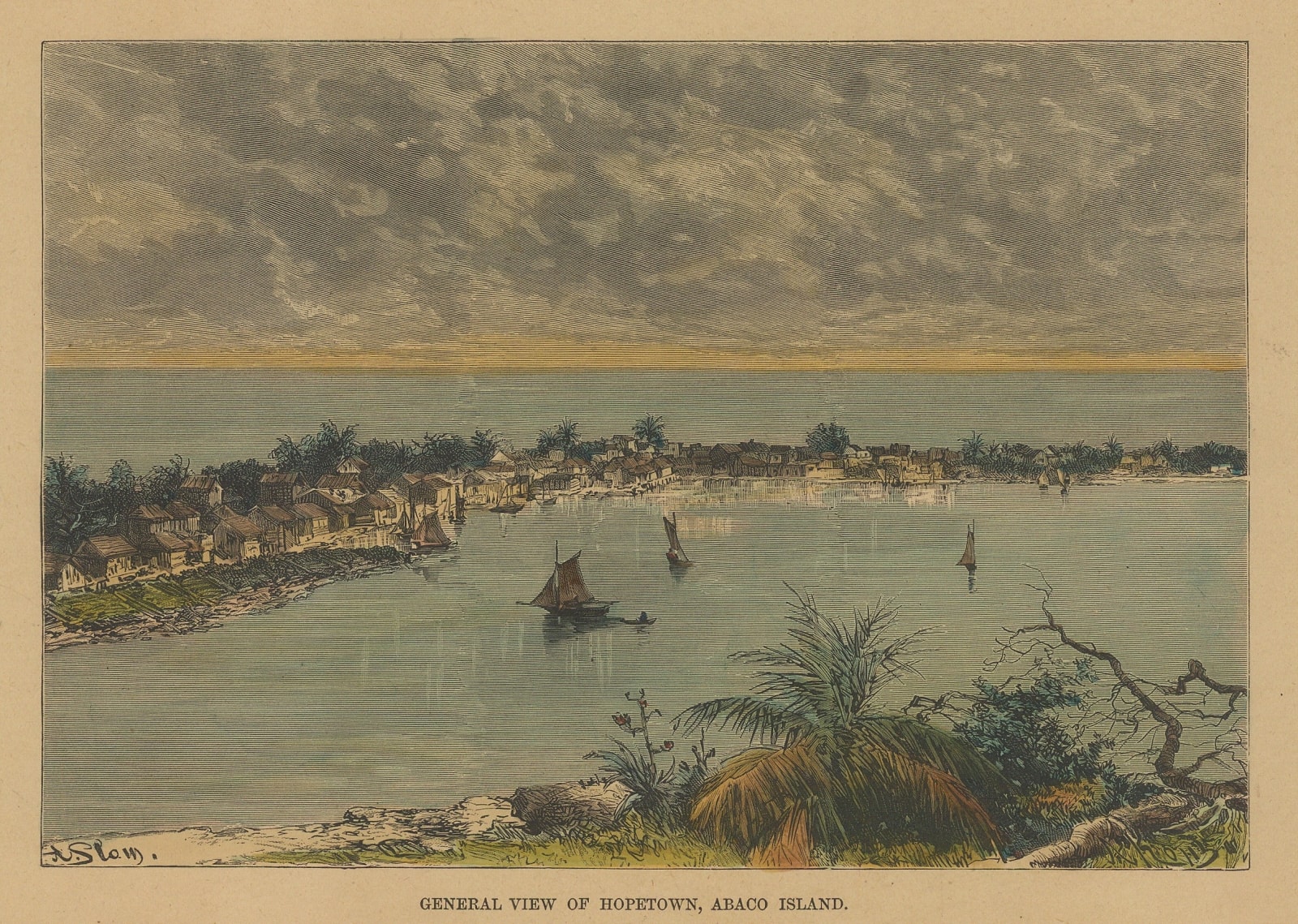 Jean Jacques Élisée Reclus, Bahamas - Abaco Island, 1894