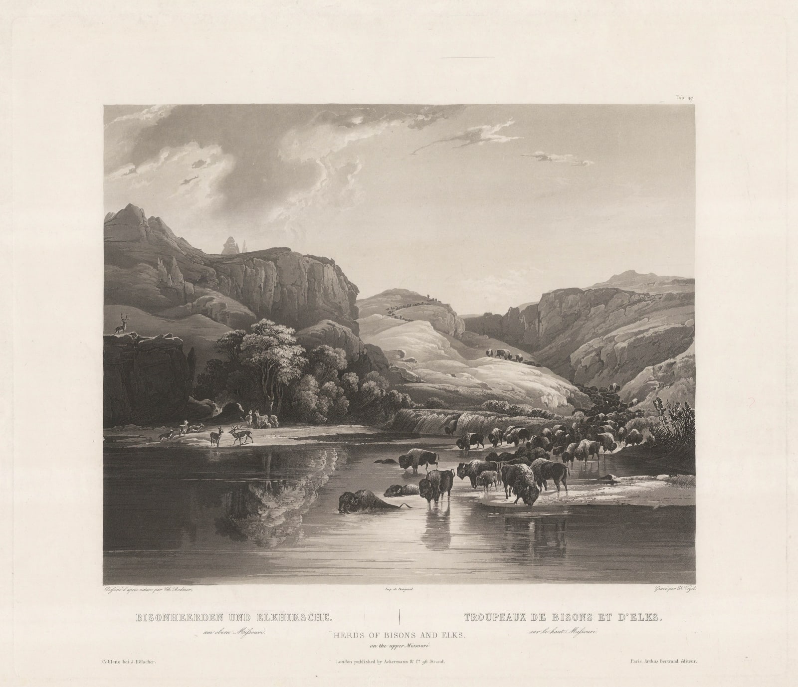 Karl Bodmer, Native Americans - Herds of Bison and Elk, 1842 c.