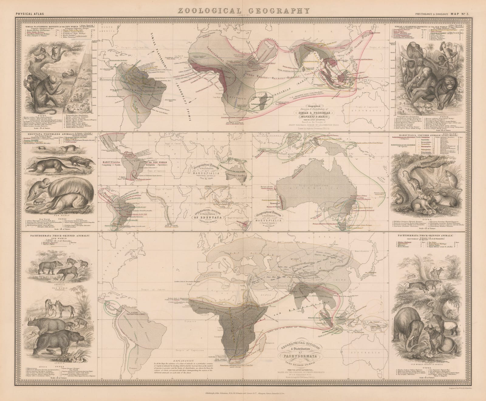 W. & A.K. Johnston, Zoological Geography - Monkeys, Marsupials & Pachyderms, 1848