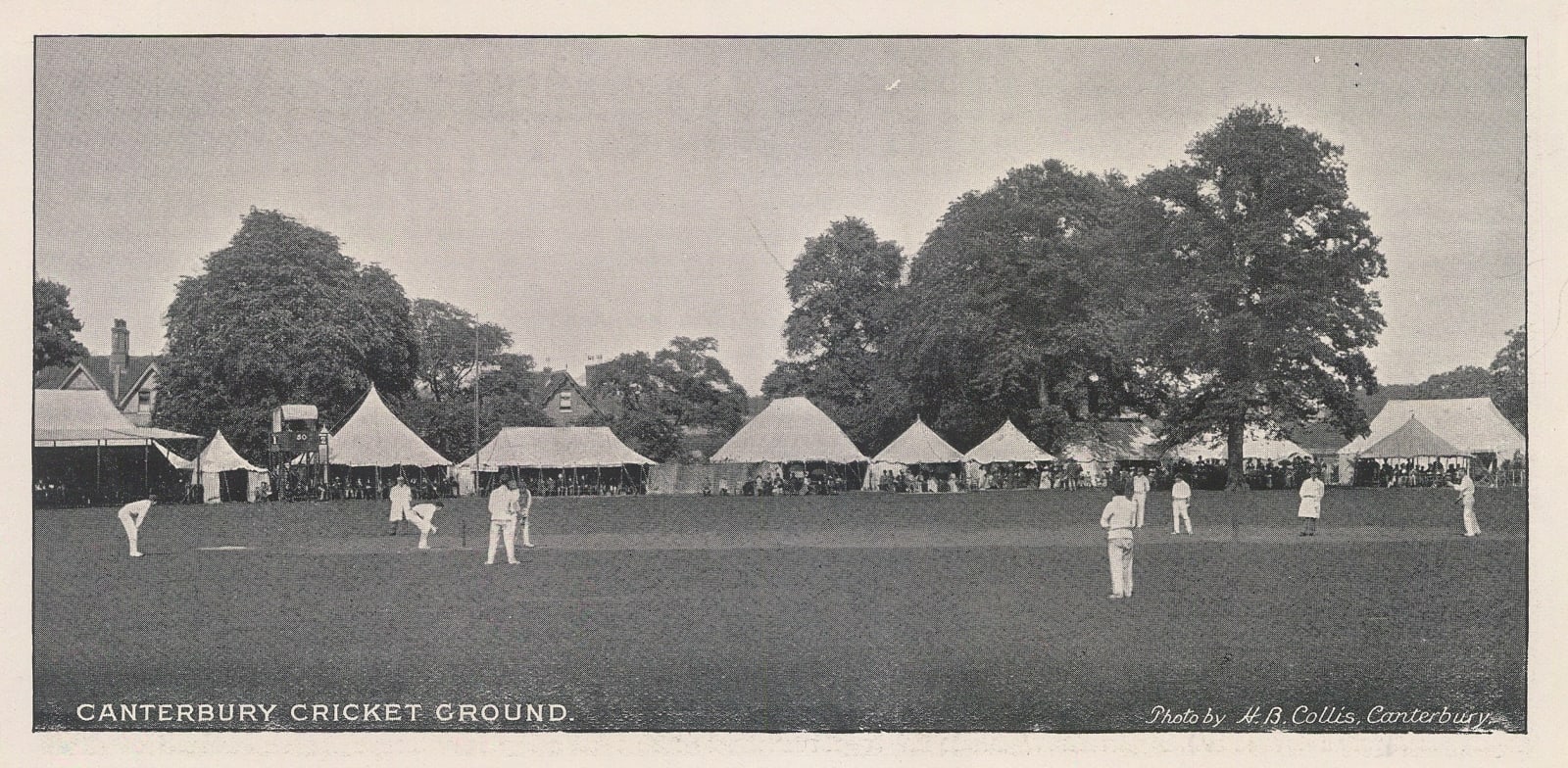 H. B. Collis, Cricket - Canterbury Cricket Ground, 1895