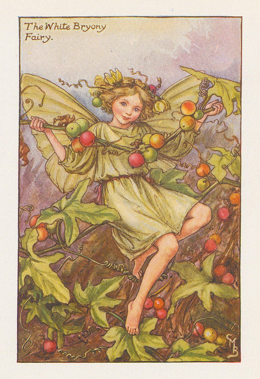 Cicely Mary Barker, Fairies - White Bryony Fairy, 1926