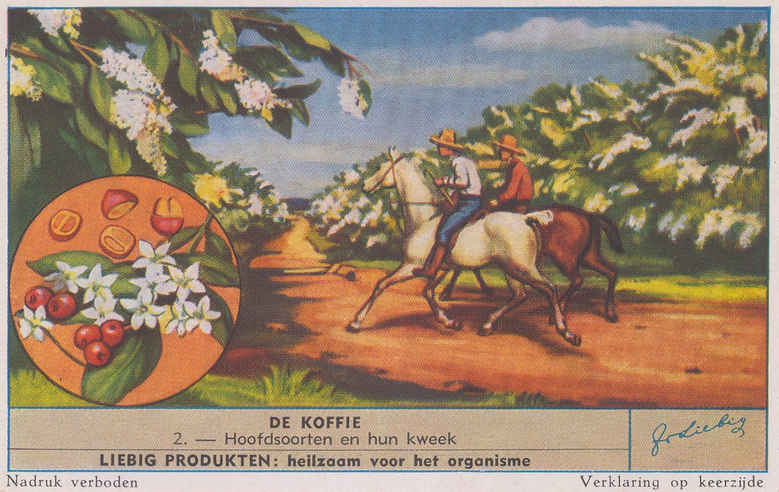 Liebig's Extract, Coffee, 1920 c