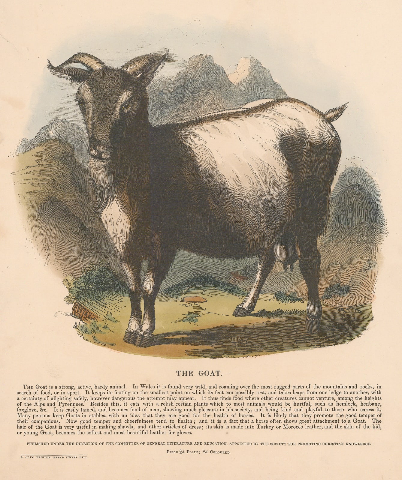 Society for Promoting Christian Knowledge (SPCK), Goat, 1860 c.