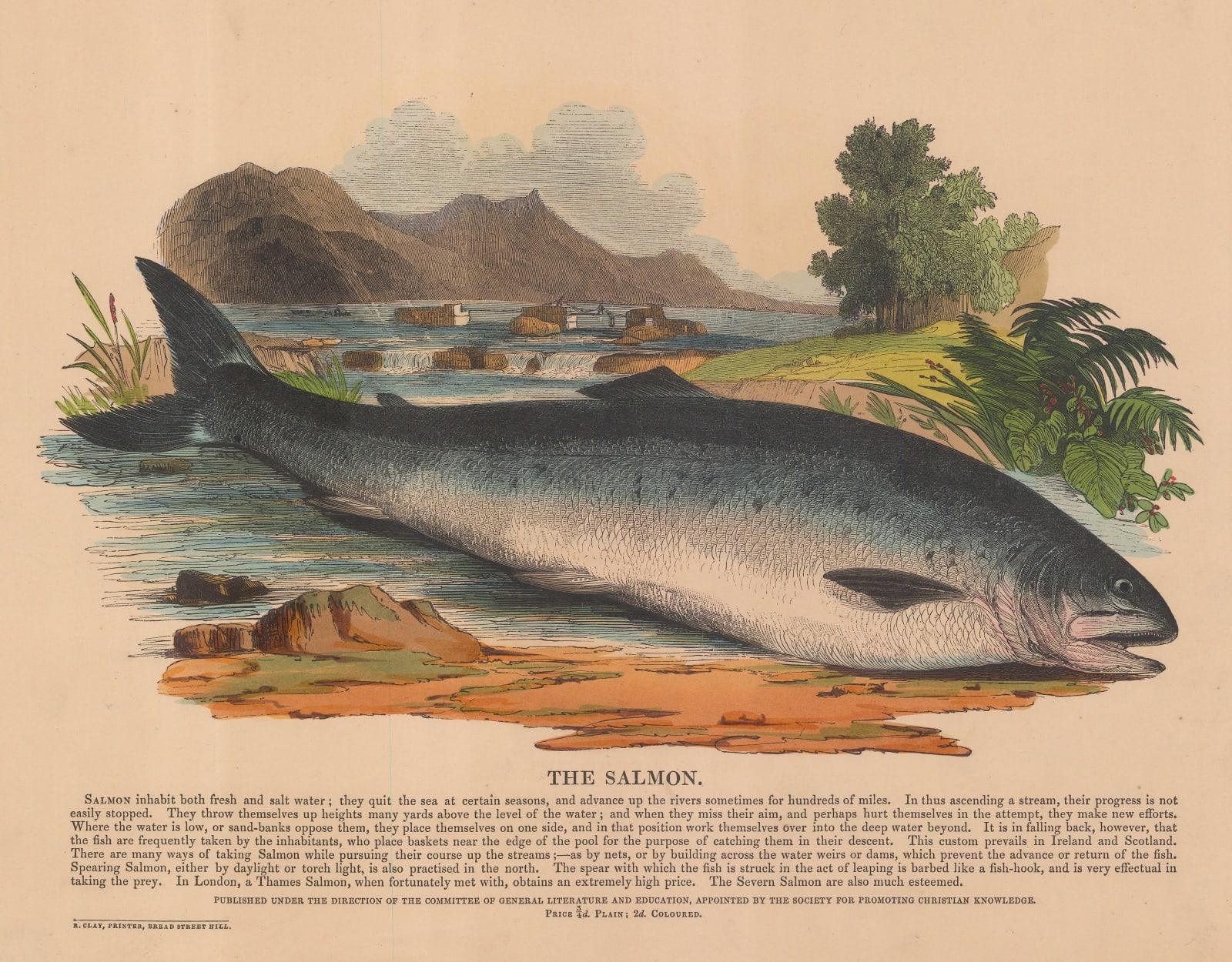 Society for Promoting Christian Knowledge (SPCK), Salmon, 1843