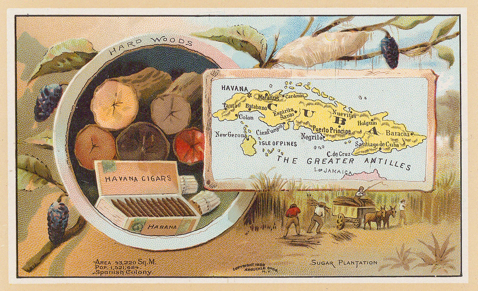 Arbuckle Brothers Company, Cuba, 1889