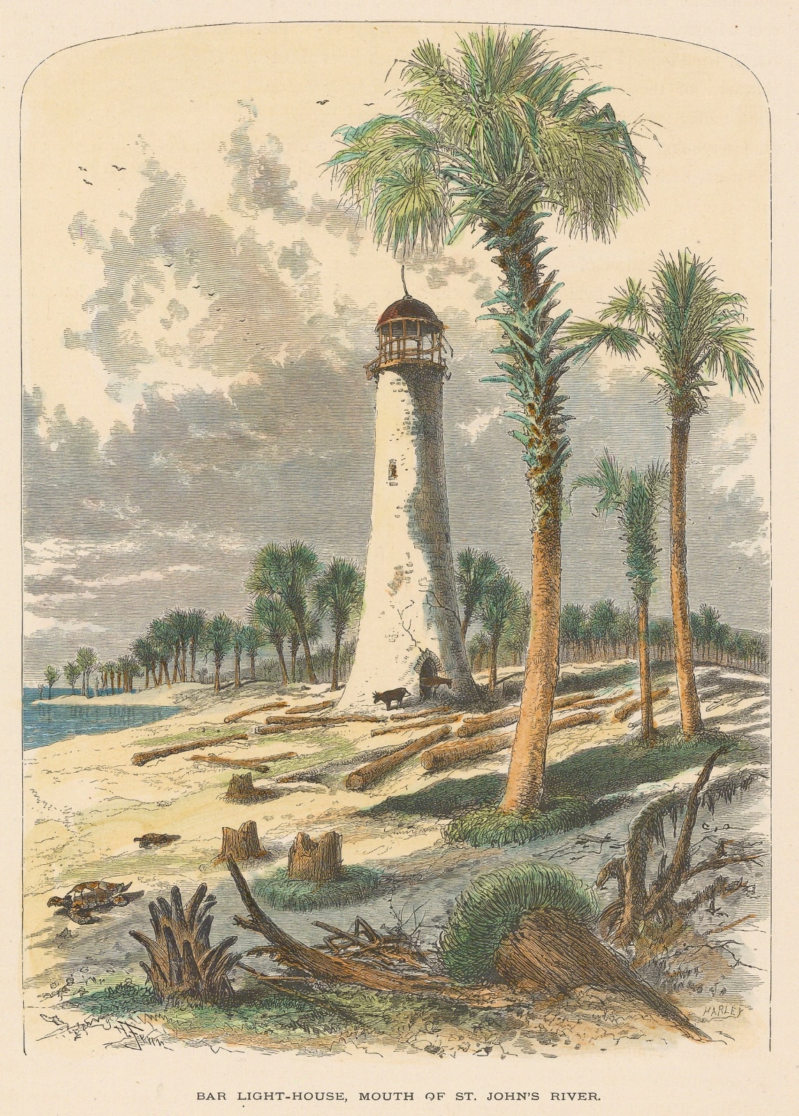 Picturesque America, Florida - Jacksonville, 1874 c.