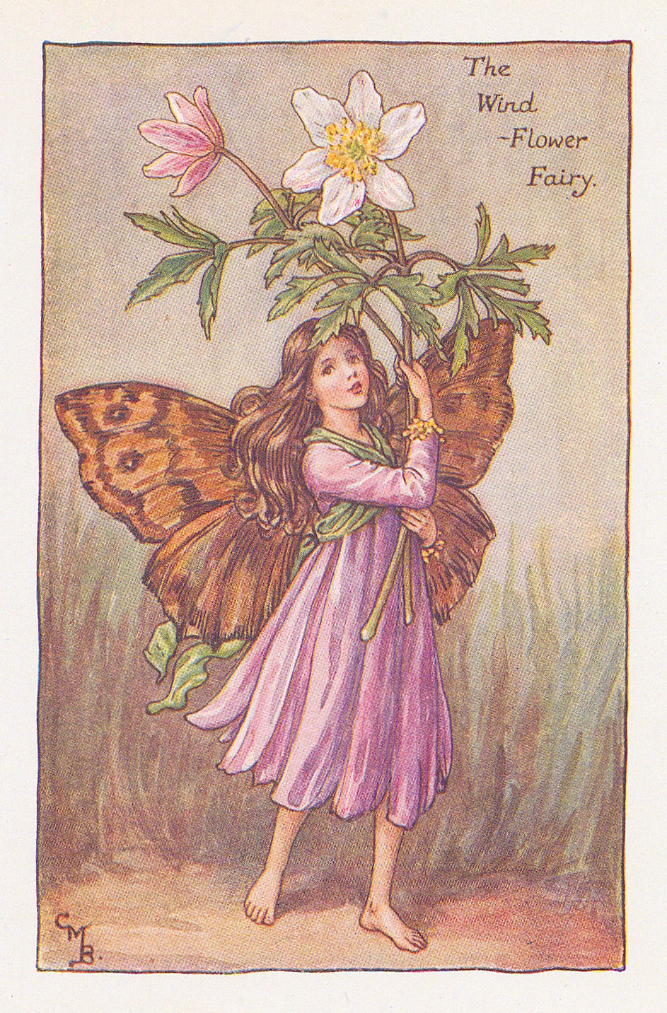 Cicely Mary Barker, Fairies - Wind-flower Fairy, 1923