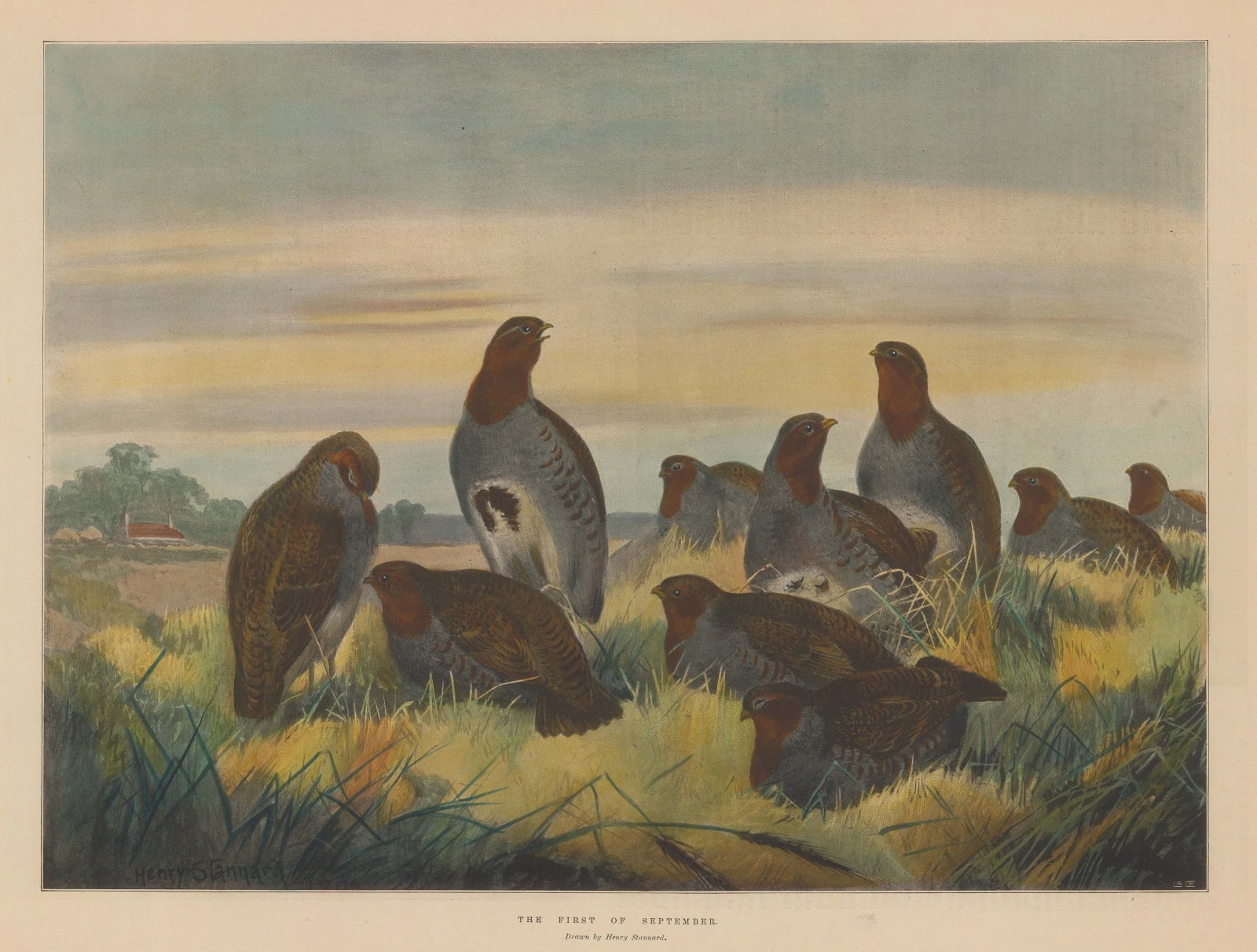 Illustrated London News (ILN), Shooting - Grouse Shooting, 1897