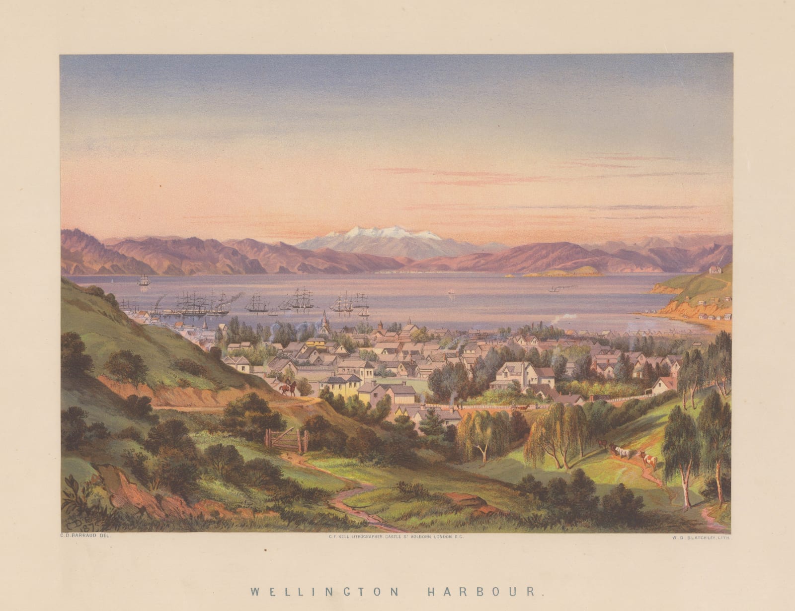 Charles Decimus Barraud, New Zealand - Wellington, 1877