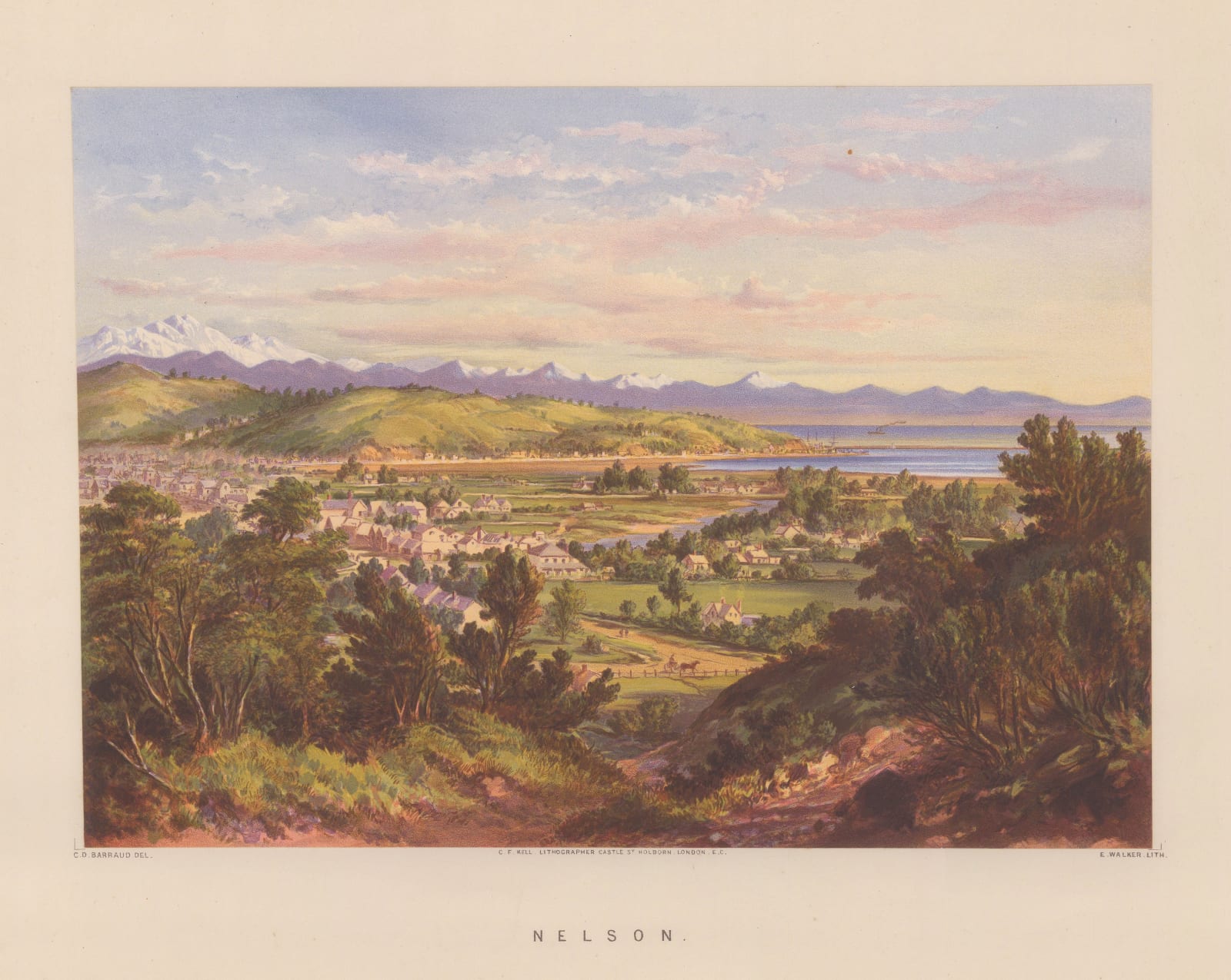 Charles Decimus Barraud, New Zealand - Nelson (Whakatu), 1877