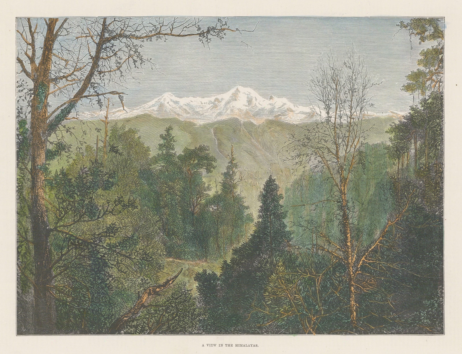 Illustrated London News (ILN), Nepal - Himalayas, 1889