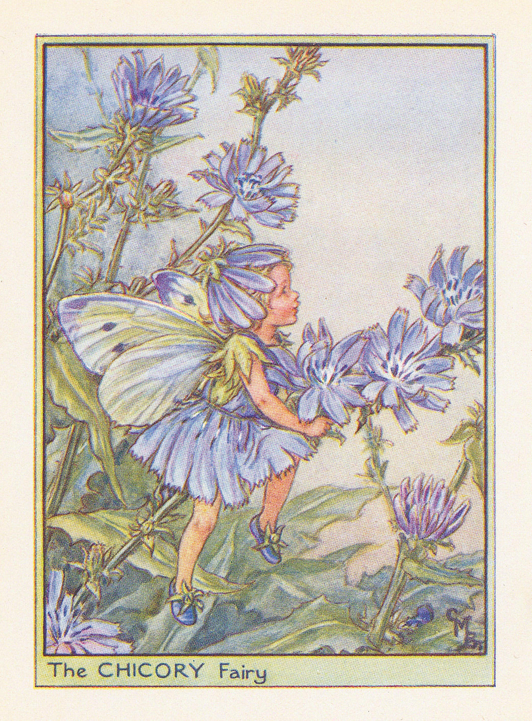 Cicely Mary Barker, Fairies - Chicory Fairy, 1948