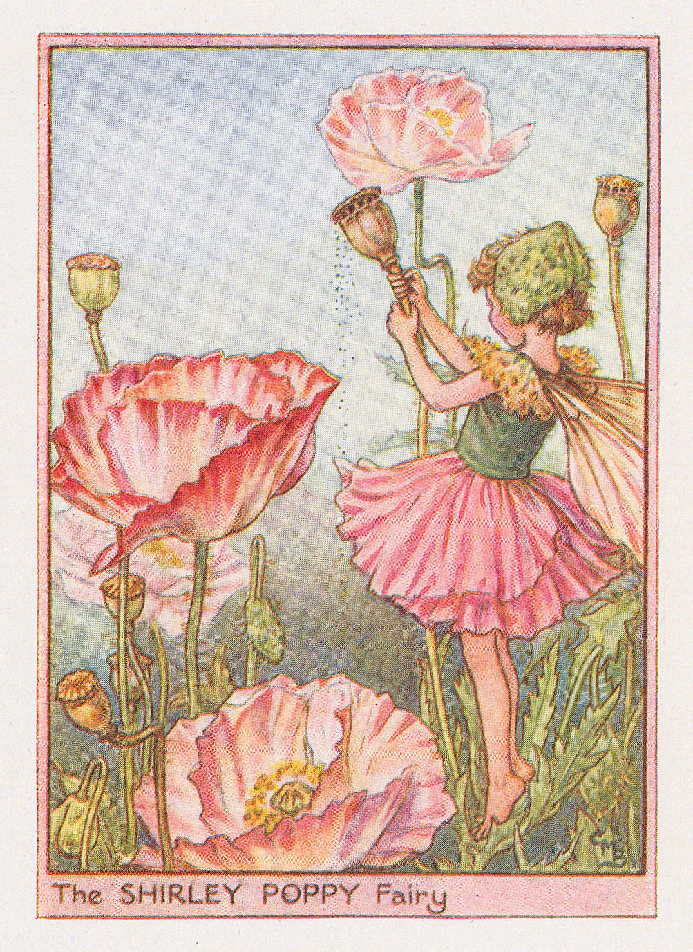 Cicely Mary Barker, Fairies - Shirley Poppy Fairy, 1944
