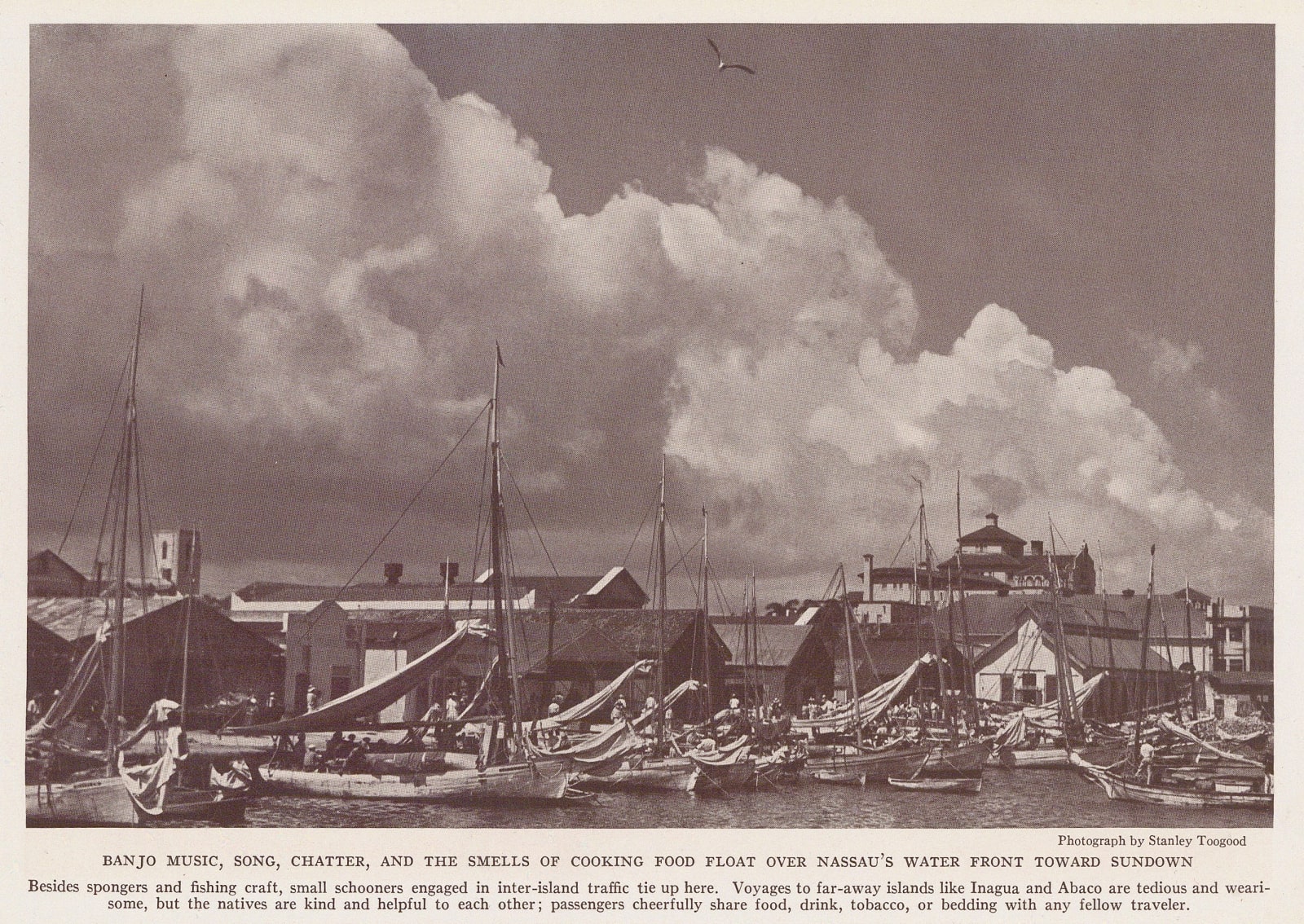 Stanley Toogood, Bahamas - Nassau, 1920 c.