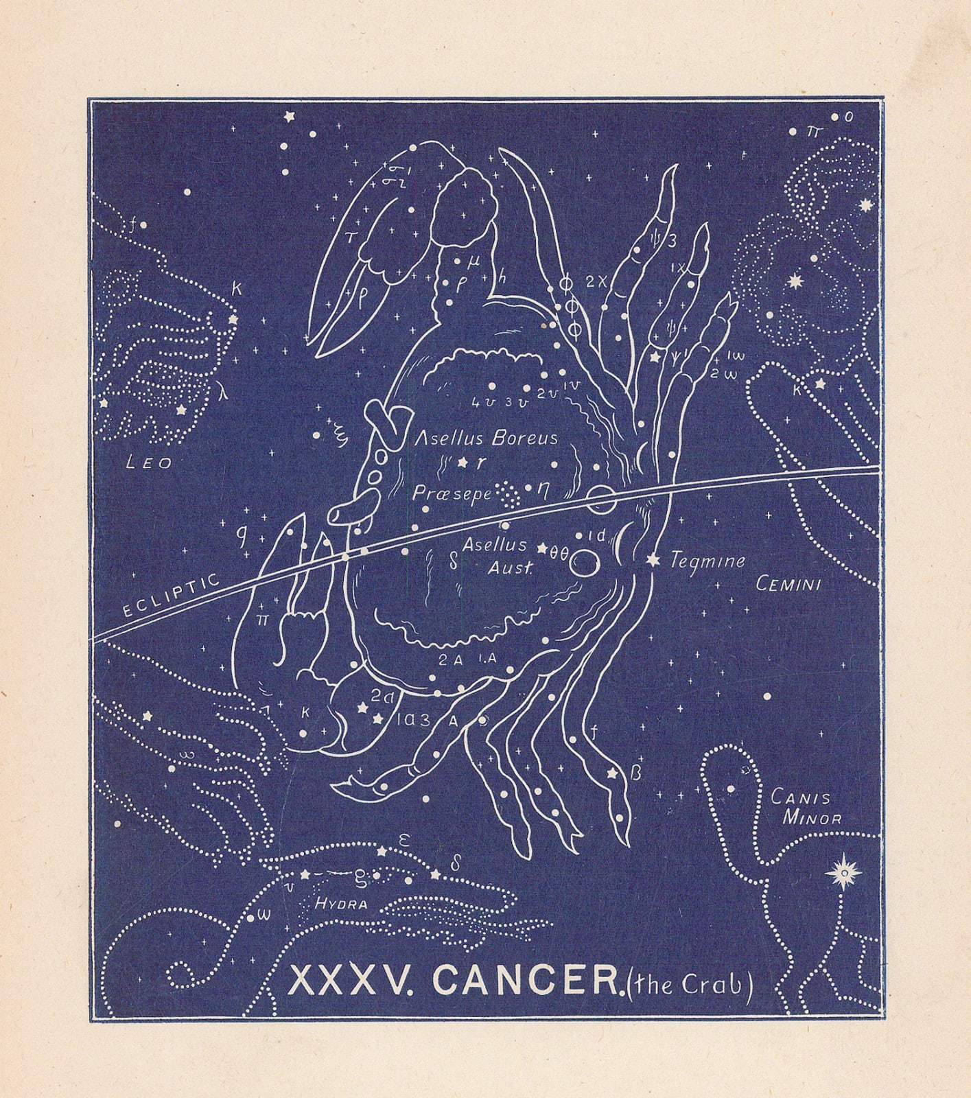 Ethelbert William Bullinger, XXXV. Cancer (The Crab), 1921