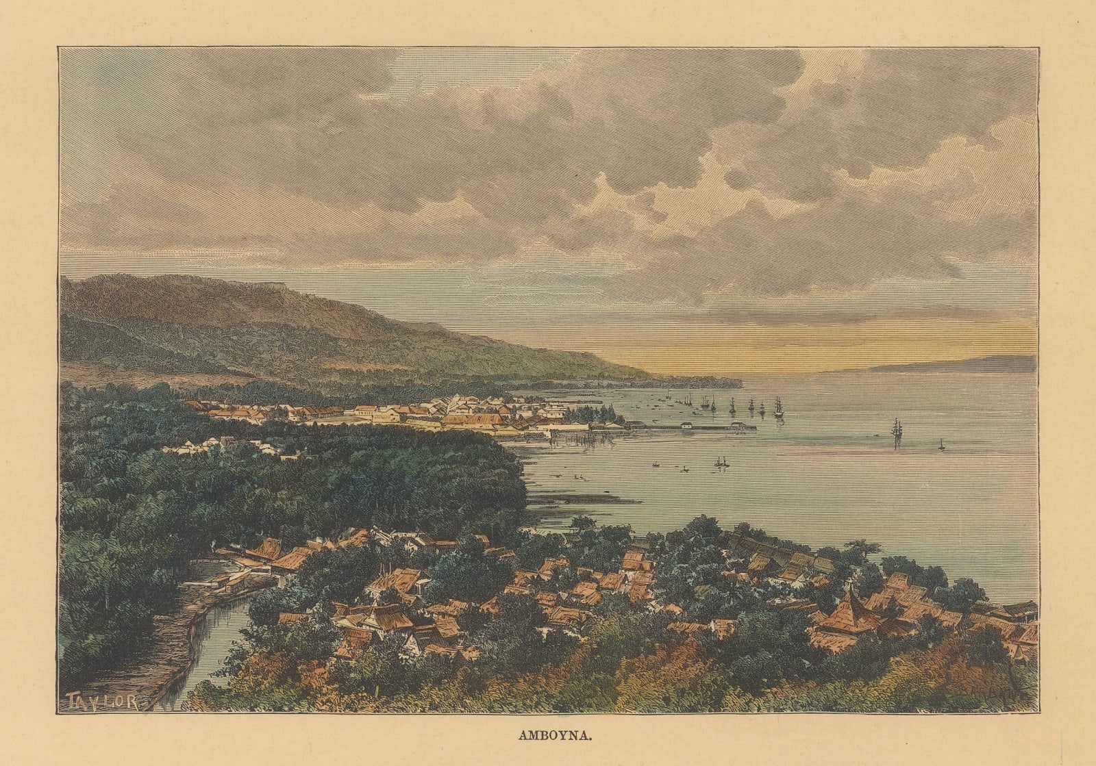 Jean Jacques Élisée Reclus, Indonesia - Moluccas, Ambon Island, 1894