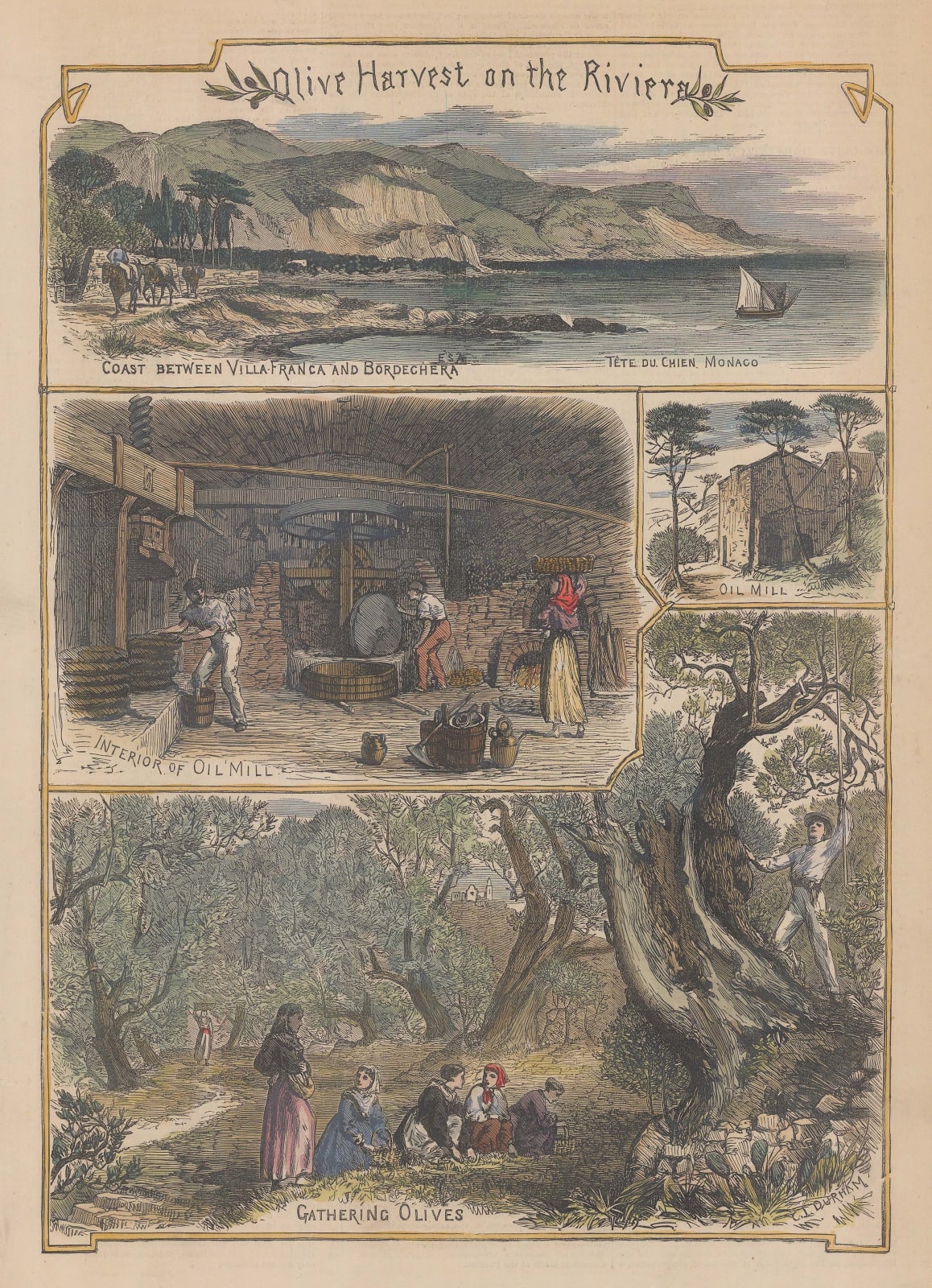Illustrated London News (ILN), Italy - Bordighera, 1857