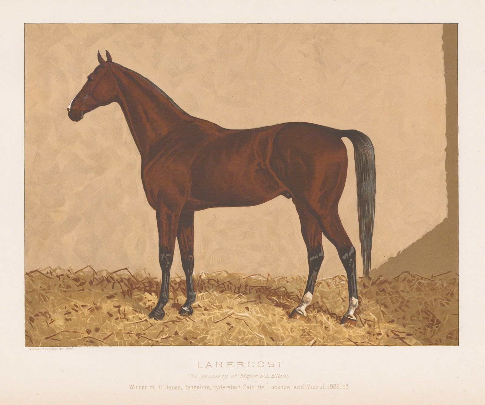 William Tweedie, Horses - Lanercost, 1894