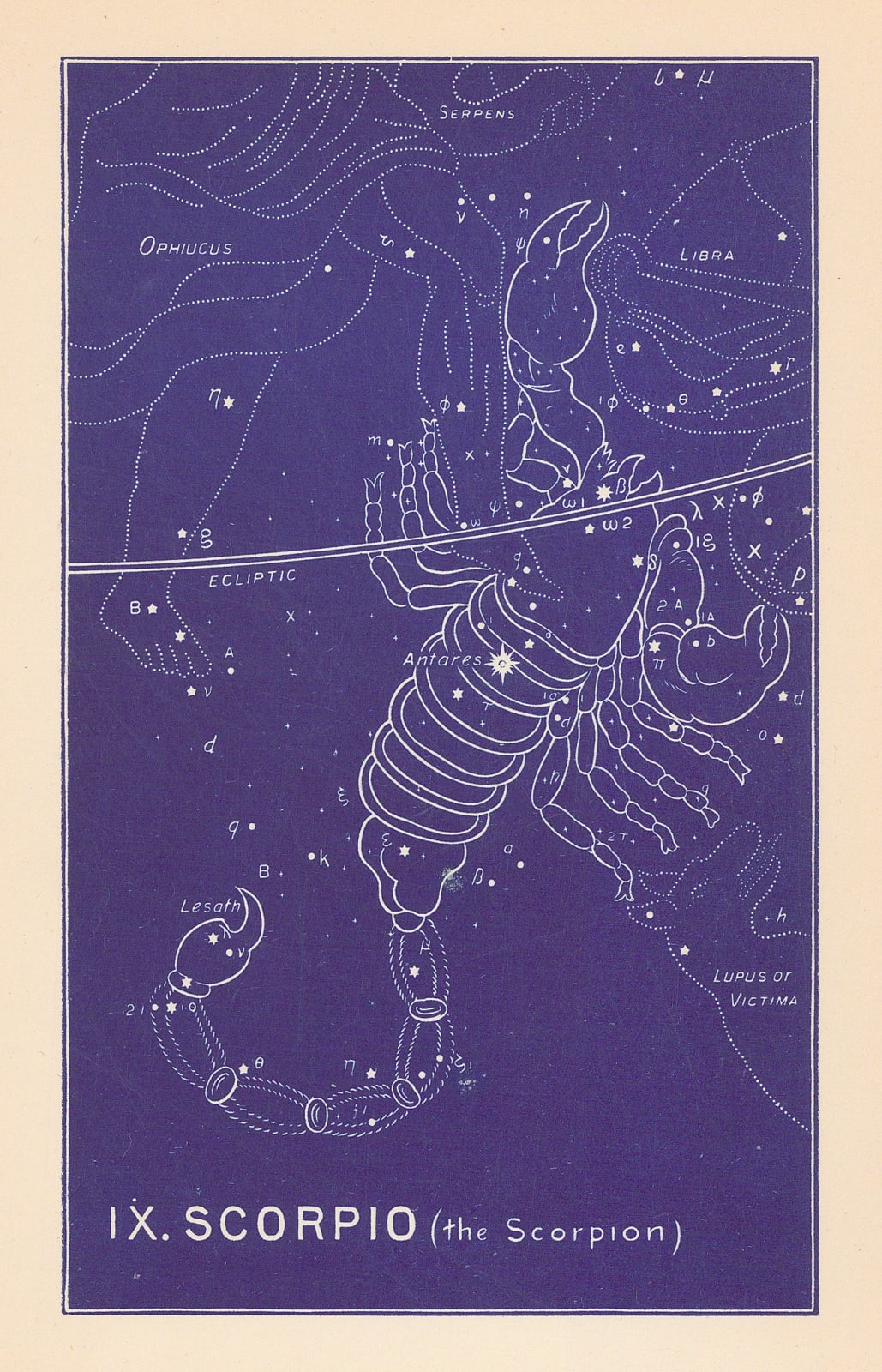 Ethelbert William Bullinger, IX. Scorpio (The Scorpion), 1954