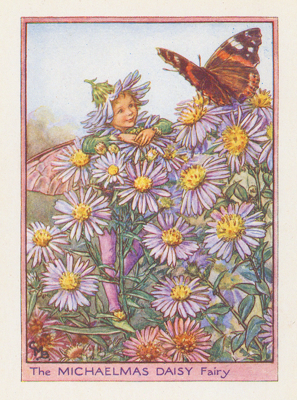 Cicely Mary Barker, Fairies - Michaelmas Daisy Fairy, 1949