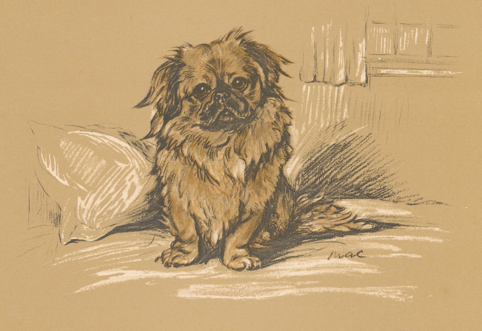 Lucy Dawson, Dog - Pekingese, 1937